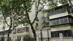 龙西 2室2厅 南 北