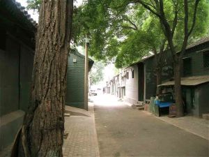 陶然亭 · 西砖胡同 · 广内牛街平房 证件齐全