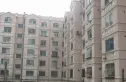 兰园街实景图