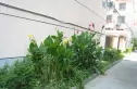 中兴苑实景图