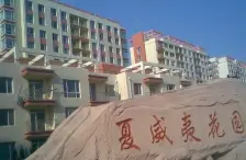 【夏威夷花园】| 关于拍卖位于大连市旅顺口区开发区海辉街88号8层1号房产