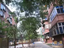 桐淮小区 1室1厅 南