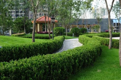  ��ׯ�׿�豬v����2�� 