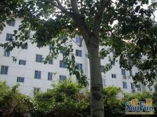 两室通透户型,满五年,税费低,采光好