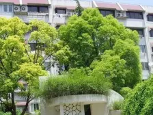 业主诚心出售大三房看房方便,五号线地铁沿线。