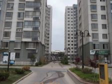 高区管委旁 百亩黑松林 国际海水浴场 火炬八街