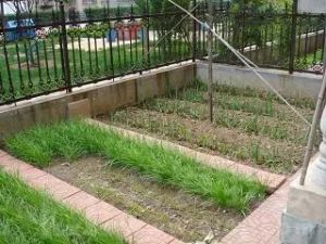 万达·永顺南街230号·2室·1厅