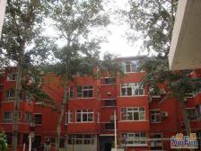 阜北小区,临近月坛,展览路板块,单位