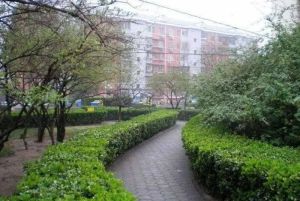 学院路,牡丹园·邮科社区,电梯全南向,采光,视野开