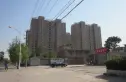 橄榄城实景图
