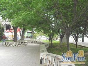 老年医院家属楼2室1厅南北