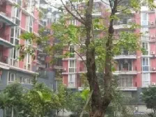 东郡蓝湾 4室3厅 南