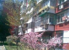 蒲黄榆地铁口 精装两居室 南北通透 明厨明卫