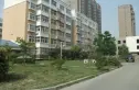 九龙园实景图