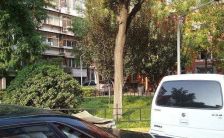 石佛营板楼好口碑户型,精益求精,装修好