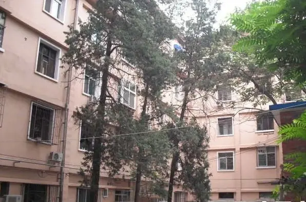 西三环北路101号院实景图