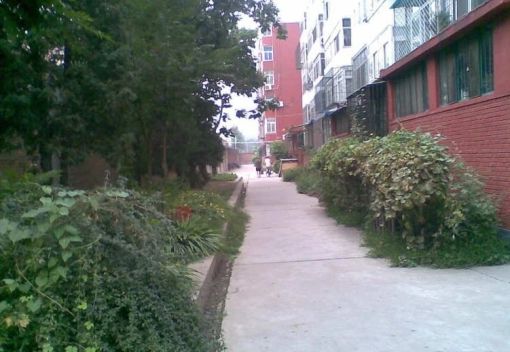  ���⡤�ú�԰���½�����21��Ժ��2�� 