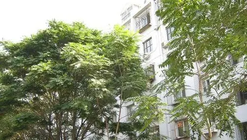 新建宫门21号院实景图