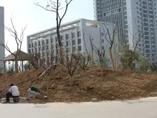 橡树湾 2室1厅 南