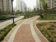 珠江罗马嘉园西区东西通透大两居落地窗格局方正