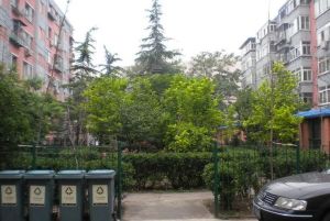 电信宿舍 3室0厅 南 北