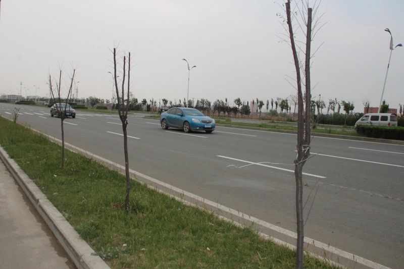 �������,���������,�۹���ͥ,�̵�֮��