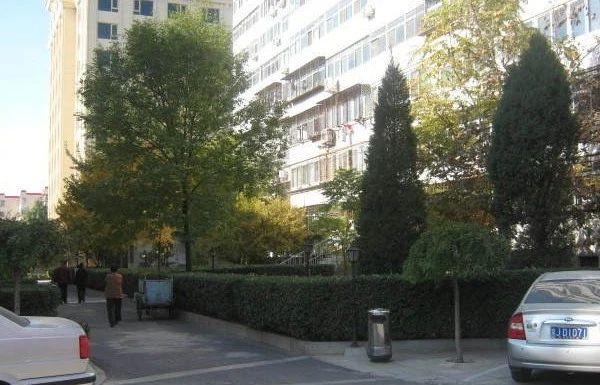 岭南路38号院实景图