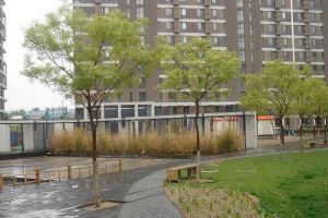 丰台北路七里庄地铁口板楼毛坯两居室户型好
