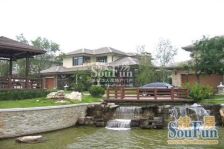 别墅,南入户,楼间距大视野开阔,视野好