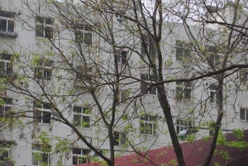 小区相关图