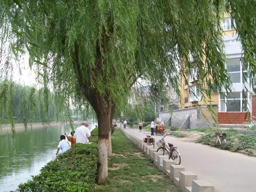 泰合名邸实景图