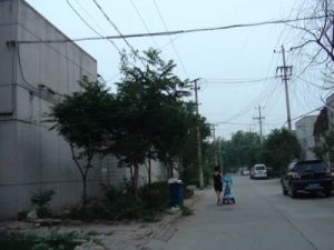 沿河楼两室南北通看房方便老本急售可贷款