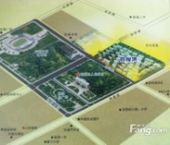 棕榈城规划图