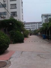 蓉花路旁独立大院,多层二楼,带车位带地下室