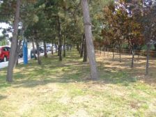 皇冠海上公园旁 精装独栋 不靠路 配套齐全 带大院