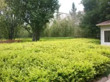 昌东新天地 3室1厅 南