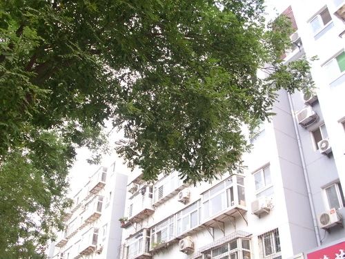 行署宿舍实景图
