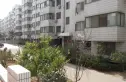 盛海园实景图