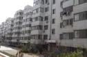 盛海园实景图