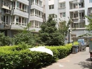 仓南胡同14号院2室1厅南北