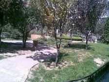 朝阳门内·仓南胡同12号院·3室·1厅