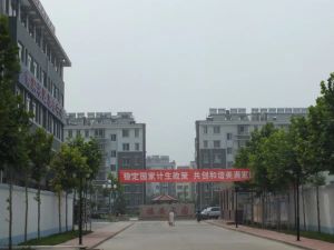 精装修 一天未住 装修的婚房 西园街近