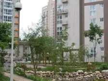 晶华城 1室1厅 西 北