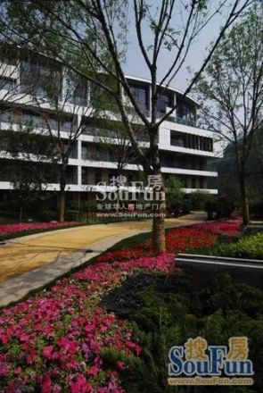 专家国际花园实景图