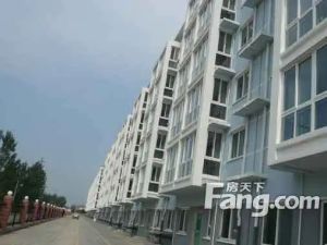 大家新城商品房,电梯中层,南北通透主卧客厅朝阳