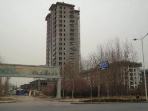 宸阳岛电梯洋房二层,南北通透,采光充足交通便利