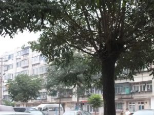 此房通透格局,视野开阔,敞亮,通风效果好