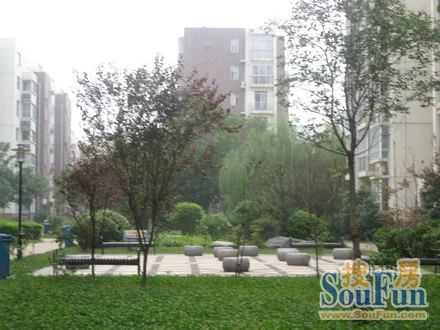  ��Ĳ���廪԰3��2��1��������700.00Ԫ/�³��� 