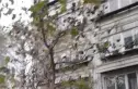 海晶北园实景图