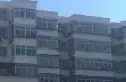 海晶北园实景图